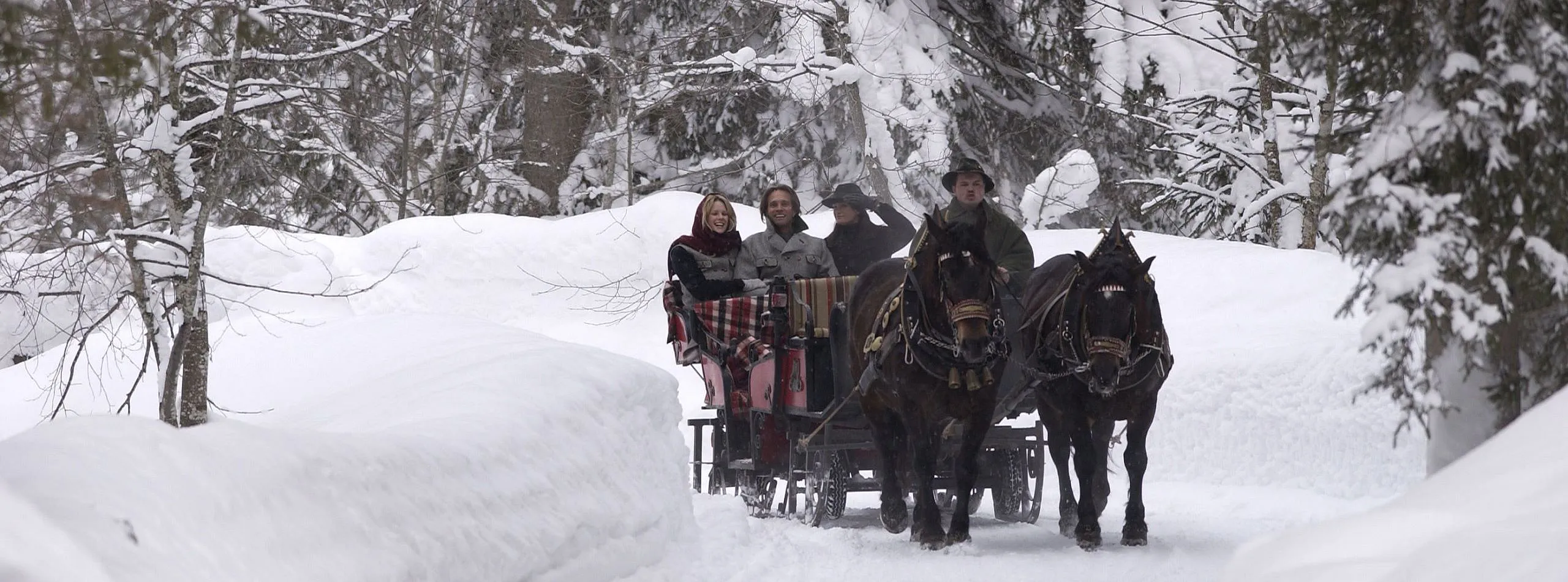 Pferdekutsche - Horse-drawn carriage2 (c) Foto Bauer