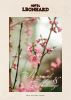Wellness-Folder-2023-ohne-QR-1-2-page1.jpg