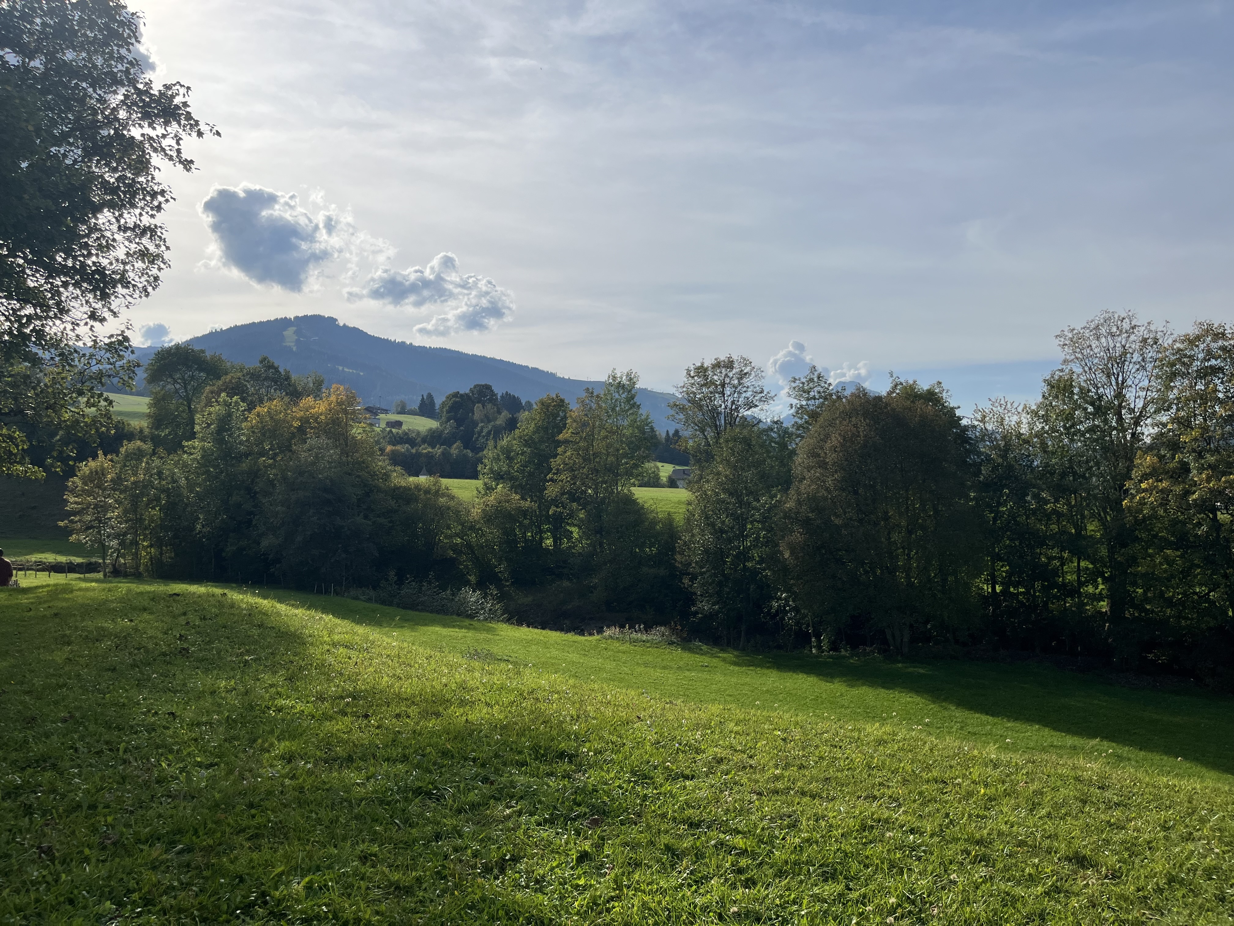 WegzumSaubach