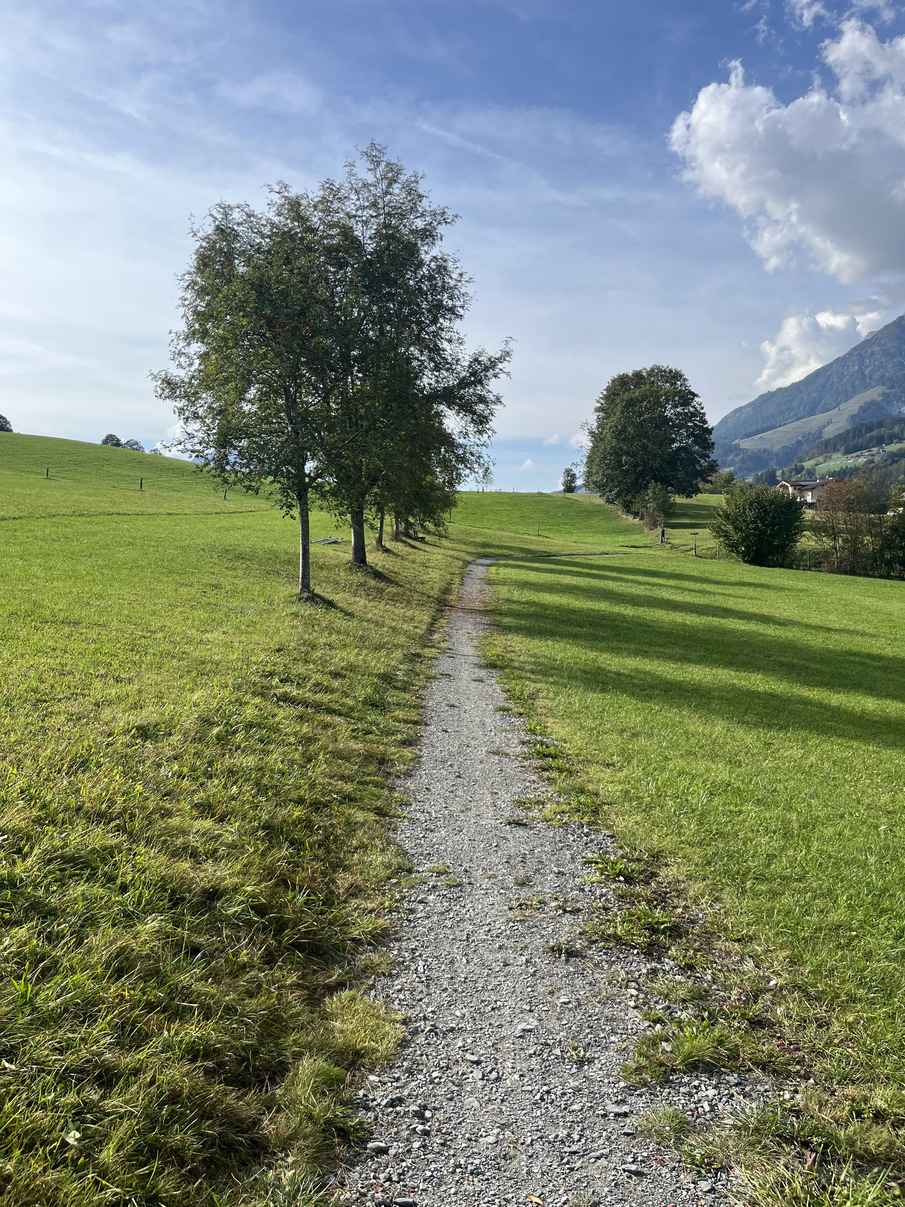 WiesenwegSinnlehen_Pöchtl