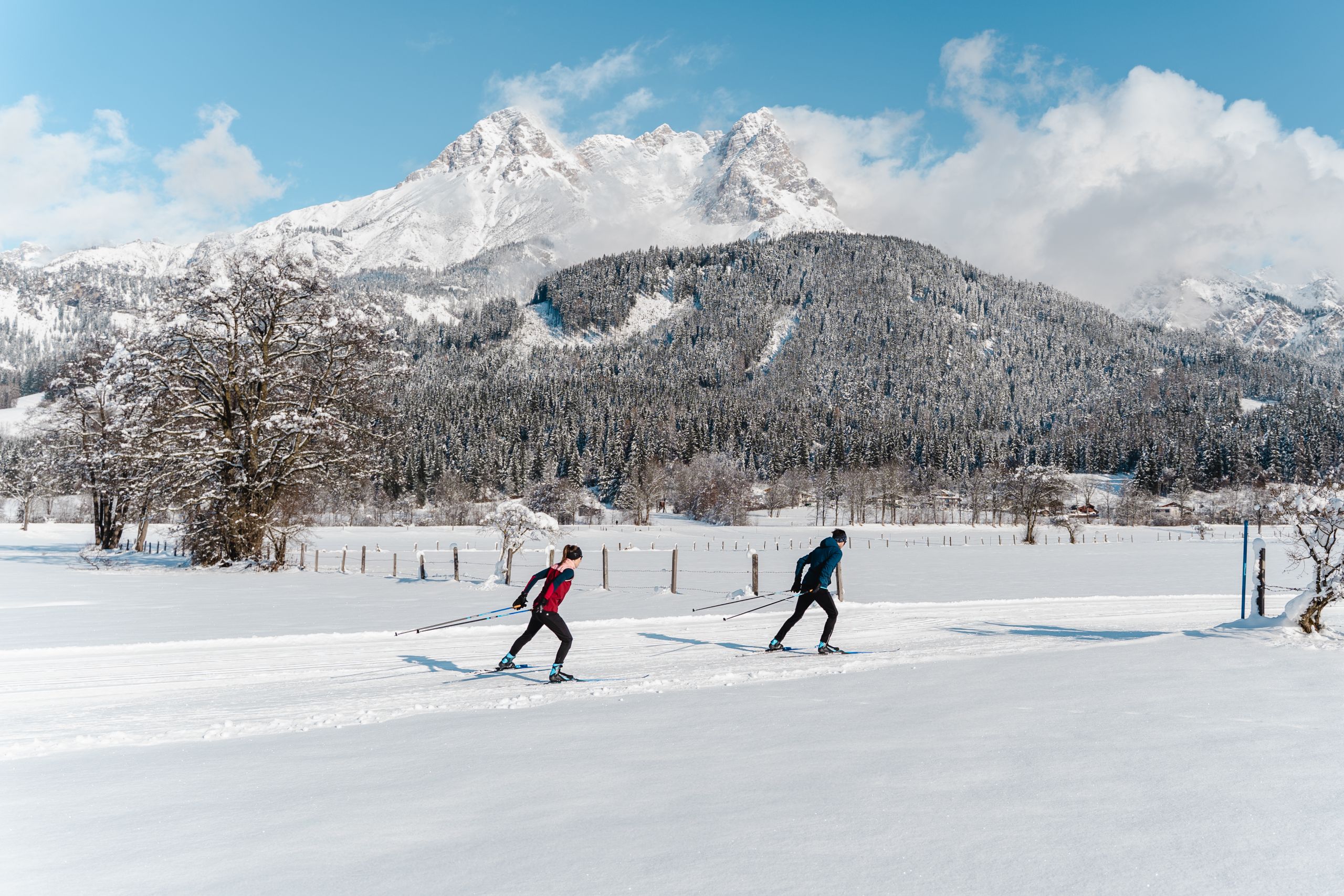 Cross-country skiers on the trail in front of the Leoganger Steinberge mountains in Saalfelden
