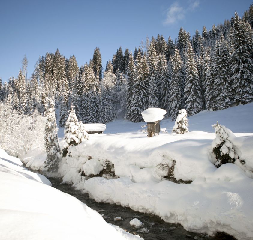 Eine verschneite Winterlandschaft mit einem kleinen Fluss, umgeben von schneebedeckten Bäumen und einem klaren blauen Himmel. Im Hintergrund sind dichte Tannenwälder, die ebenfalls mit Schnee bedeckt sind.
